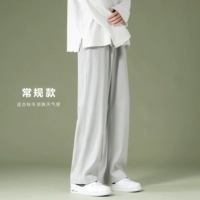 Штаны 1228 светло -серый (обычная модель)