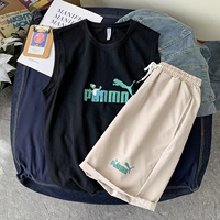 BX2104 Black+DK213 Abricot Color