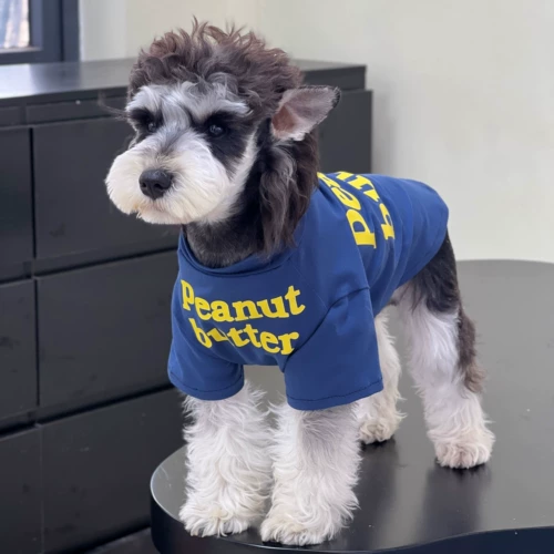 Домашняя кошка и одежда для собак лето чистое хлопок спрятало синюю английскую футболку в помещении.