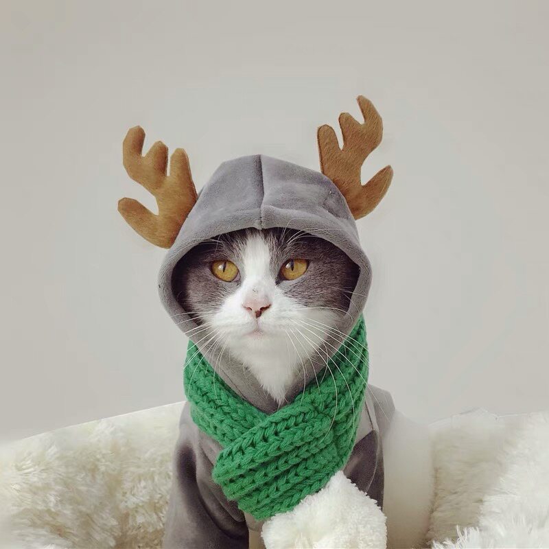 Customized warm cat dog dog double-sided velvet suit puppy with thickness size can customize tide card jacket