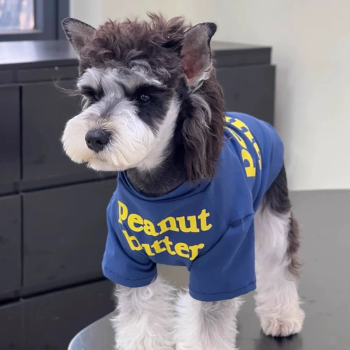 Домашняя кошка и одежда для собак лето чистое хлопок спрятало синюю английскую футболку в помещении.