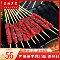 Xilin Star Beef Skewers Fresh Bamboo Skewers BBQ Ingredients Semi-finished Frozen Home Outdoor Skewers 20 Skewers