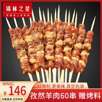 Xilin star cumin mutton kebabs 60 skewers of fresh barbecue ingredients frozen marinated mutton semi-finished products