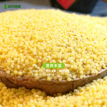 Northeast small yellow rice New Rice five kilograms of farmers self-produced edible millet small yellow rice grains month millet baby rice oil