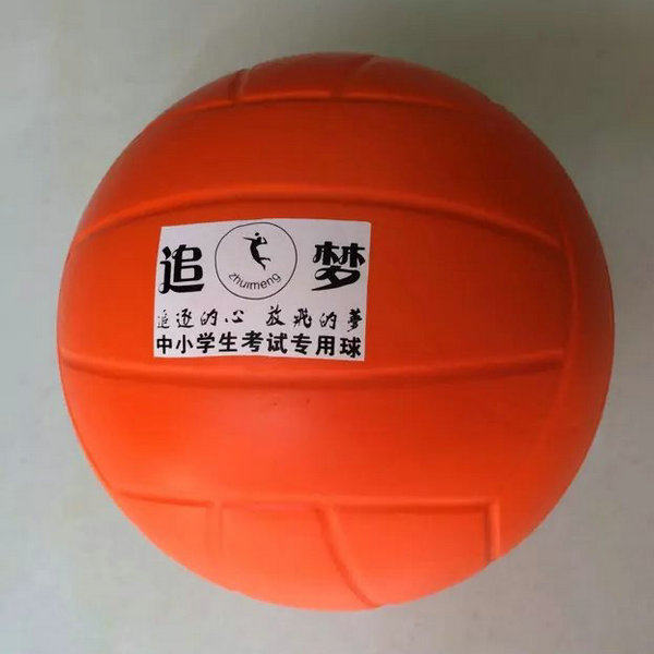 Ballon de volley-ball - Ref 2013131 Image 6