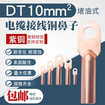 Copper nose DT-10 squared blocked oil type copper cable wiring head copper wire ear wiring terminal red copper wire nose B grade