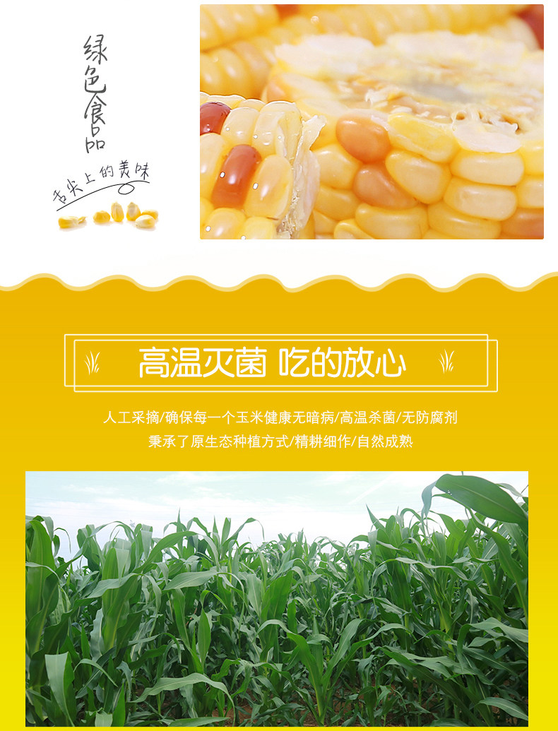 3 желтый 3 белый 3 цветы 3 Black_an Corn Defitable_3_02.jpg