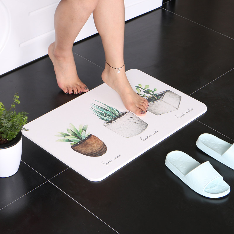 Nordic cactus diatom mud foot pad bathroom kitchen powder room entrance water absorption floor mat diatom mud quick drying floor mat