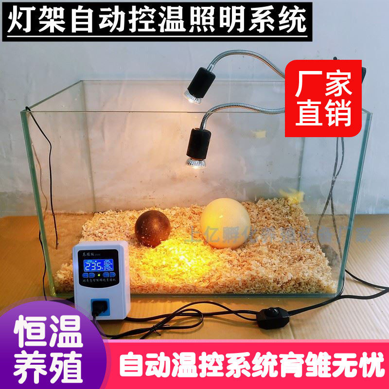 Heat preservation lamp insulation lamp brooding lamp chicken insulation equipment breeding heating lamp chicken duck goose and quail incubator chick