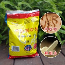  Rural toilet maggot killing medicine mosquito killing fly larvae large pool dry toilet manure pool maggot insecticide special medicine