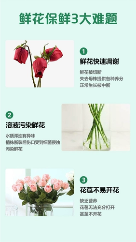 American Flower Life Flighing Freshing Fresh Reservation Fresh Reservation Solid Nutrition Solid Supsidies для свежего кусочка свежего цветочного магазина