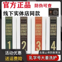 Milk Words Big ginger shampoo Milk Ginger Double Agent Official Anti-Hair Loss for dandruff Dandruff Ginger Liquid