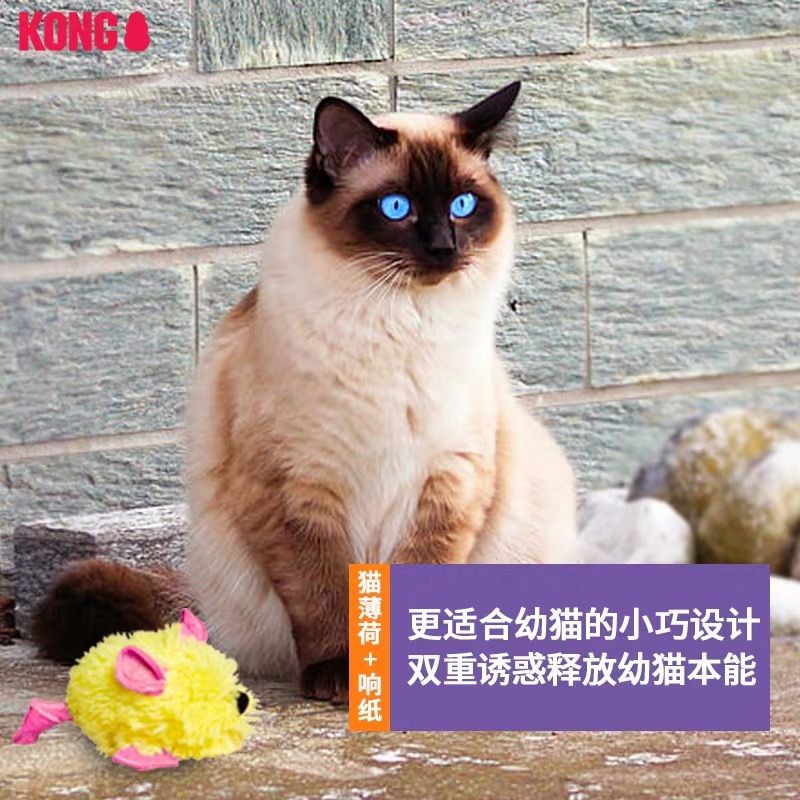 Let the kittens learn to hunt the US for import THE KONG YOUNG CAT MINI MOUSE KITTY TOY VOCAL Contained Cat Mint