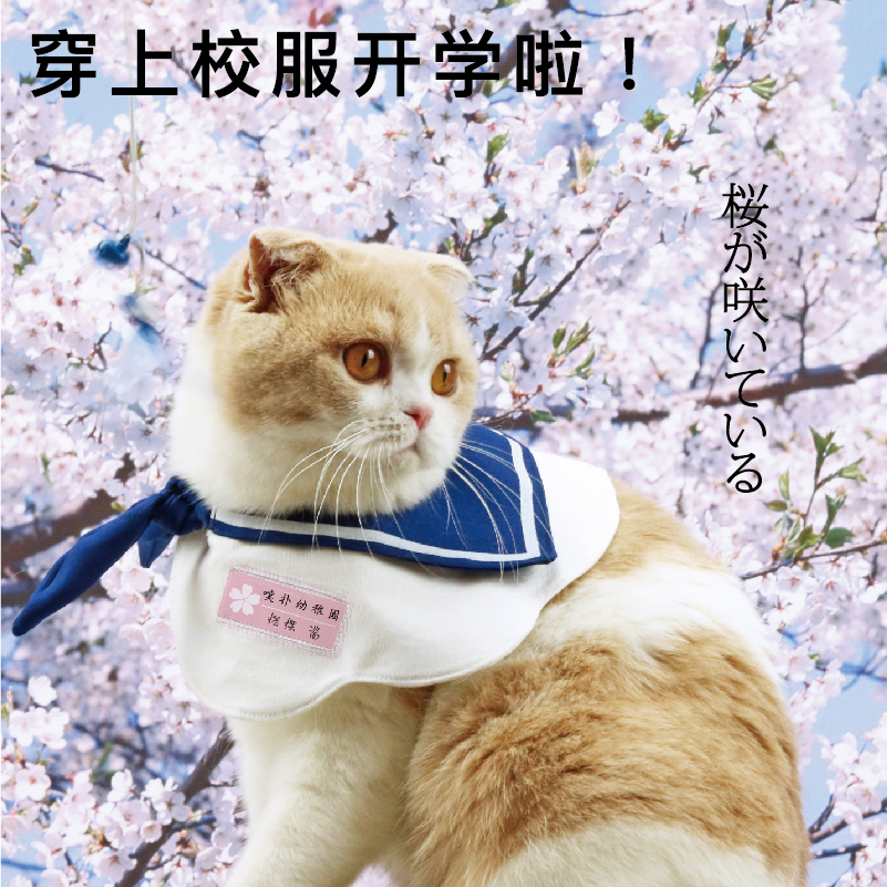 AdeHome and Wind Kindergarten scarf cherry blossom season photo with a certain beautiful and beautiful Pet Scarves can write names