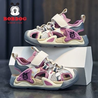 Mi/Grey/Purple