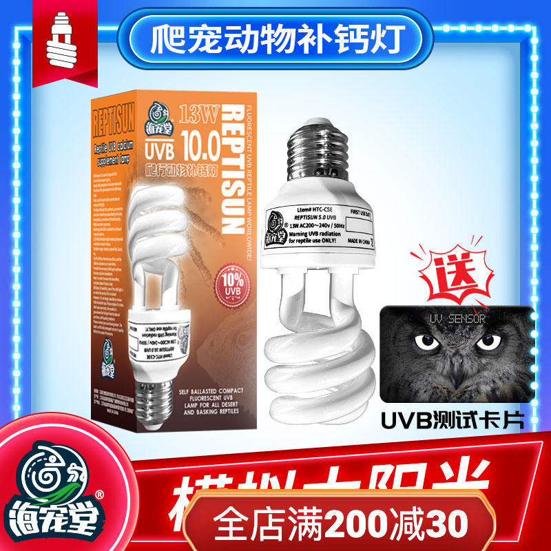 Crawling pet uvb lamp supplement calcium reptile sun lamp tortoise box mane lion lizard yellow edge turtle sunbathing back light 10.0 5.0