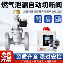 Industrial Commercial Gas Valve Electromagnetic Emergency Cut Valve Gas solenoid valve flange DN50 40 80100