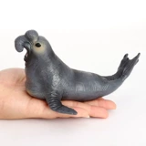 1653/1654 Реалистичная модель морских животных Walrus Seal Seal Seal Seal Дети когнитивные игрушки твердые украшения