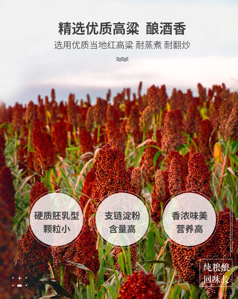 画马庄 纯粮固态发酵 台湾高粱酒 52度浓香型 600ml*6瓶 图6