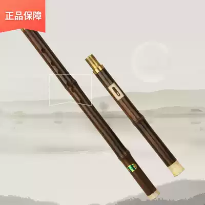 Zizhu Bau horizontal blowing f professional students Bau musical instruments adult f-tune Primary School students adult introductory major