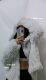 Internet celebrity same style rabbit fur double-sided braided short top small casual hooded fur coat for women winter