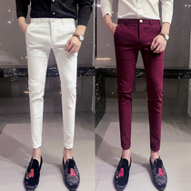 Spring ruffian handsome pants mens Korean version of the trend slim nine-point small pants Wild tight stretch 9-point casual pants