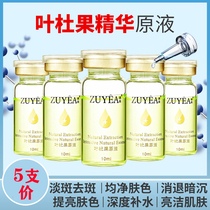 Anti-spot leaf Du fruit Extract De-melanin Anti-yellow skin brightening Microneedle roller introduces lyophilized powder to improve dullness on the face