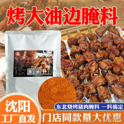 Northeast BBQ Large Oil Edge Marinade Commercial Fried Pork String Seasoning Catering Pack Night Market Stall Canteen Store Ingredients