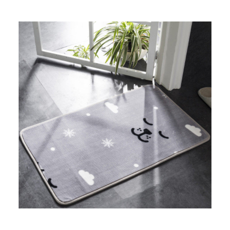 House door Chinese style bathroom ground personality 2019 washing carpet pedalling down to the floor mat floor mat door cushion to door