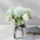 Hydrangea Rose Green (Отправить ваза)