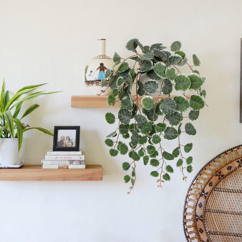 Artificial Green Plant Money Leaf Copper Coin Leaf Home Decoration Fake Plant Indoor Hotel Living Room Hanging Vine Wall Hanging