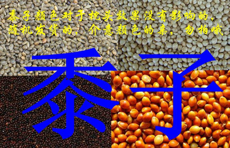 Vỏ, vỏ trấu, gạo nếp, kê, vỏ, vỏ kiều mạch, trấu không gạo, gạo nếp, gạo nếp, gạo nếp, gối, gối - Gối gối tre