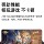 Honor Panda с 15-дюймовым сверхбольшим экраном, Snapdragon 8gen2, новейший планшетный компьютер 2025Pro, мобильный телефон онлайн класса 5G, полная сеть, Android ipad, игра King Glory chicken mini 2