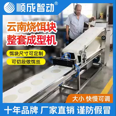Shuncheng automatic bait block machine Yunnan bait block pressure bait block bait sheet forming machine commercial