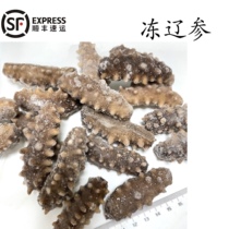 Frozen Liao ginseng 30-35 500g gold rice soup sea cucumber sea cucumber sea cucumber wild rice Zhangzi Island heating instant Shunfeng