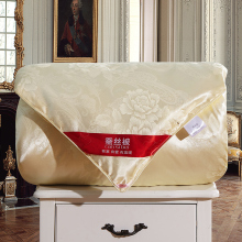 优质蚕丝被加厚冬被单人双人春秋被子