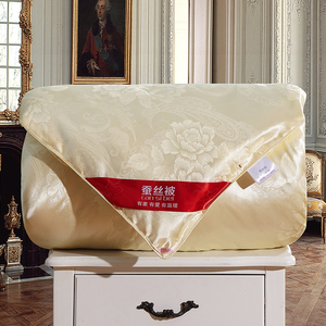 优质蚕丝被加厚冬被单人双人春秋被子