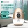Очиститель воздуха GYGAIR Vision Oxygen Forest Кислородный бар Egg Air Purifier... mini 2