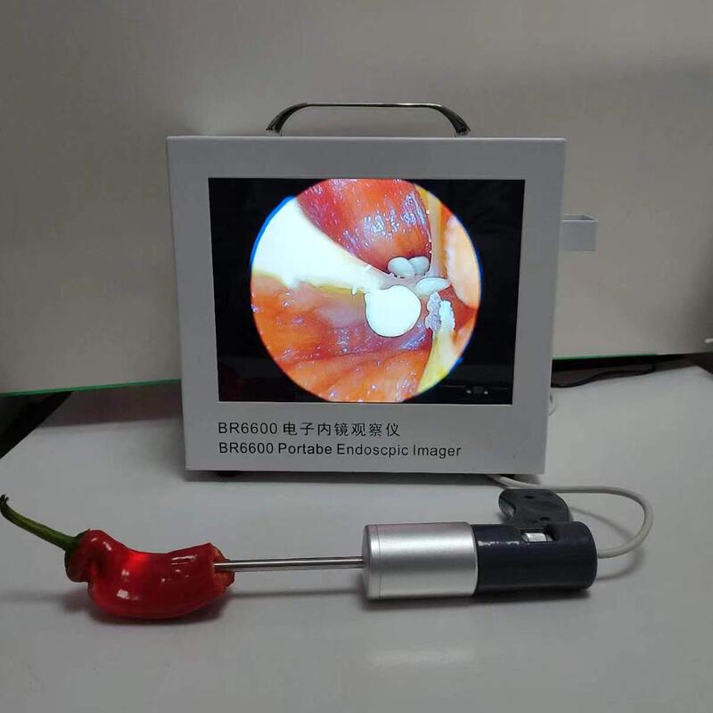 New Electronic Endoscope Viewer, Endoscope for Visual Ear Cleaning, Animal Ear, Nose and Throat Examination Mirror, Portable All-In-One Machine