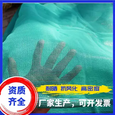 Shanghai blue flame retardant construction site safety dense mesh dust net dense mesh vertical net elevator protection net