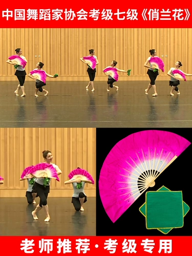 Китайская танцевальная ассоциация 7 класс 7 класс симпатичной орхидеи восьмого уровня 8 Anhui Цветочный барабанный фонарь танец танец
