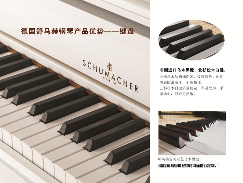 Tô Châu thương hiệu cho thuê / cho thuê đàn piano SCHUMACHER / Schumacher SCH-02A 300 nhân dân tệ / tháng piano casio