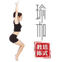 Hatha Yoga Instructor Training Asana 400 High Temperature Sun Salutation Meditation Pranayama