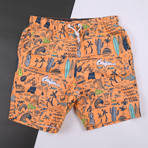 Gailang mens casual pants slits seaside vacation loose breathable large size beach pants fashion printed quick-drying flower shorts