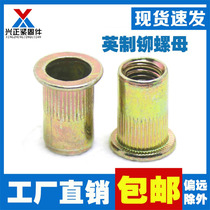English made pull riveting nut beautiful riveting nut pull hat flat head column thread riveting nut 1 4 3 8 5 16 5 32 8 #