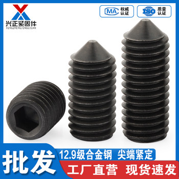 Level 12.9 tip tightening screw
