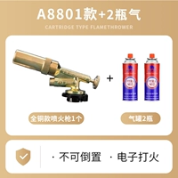 Электронный огнес