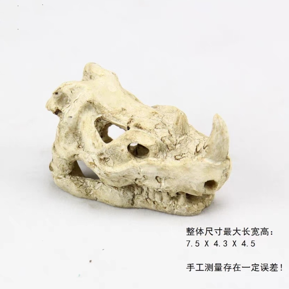 仿真跳蛛蜘蛛躲避屋真香！爬宠饲养箱这样布置才靠谱