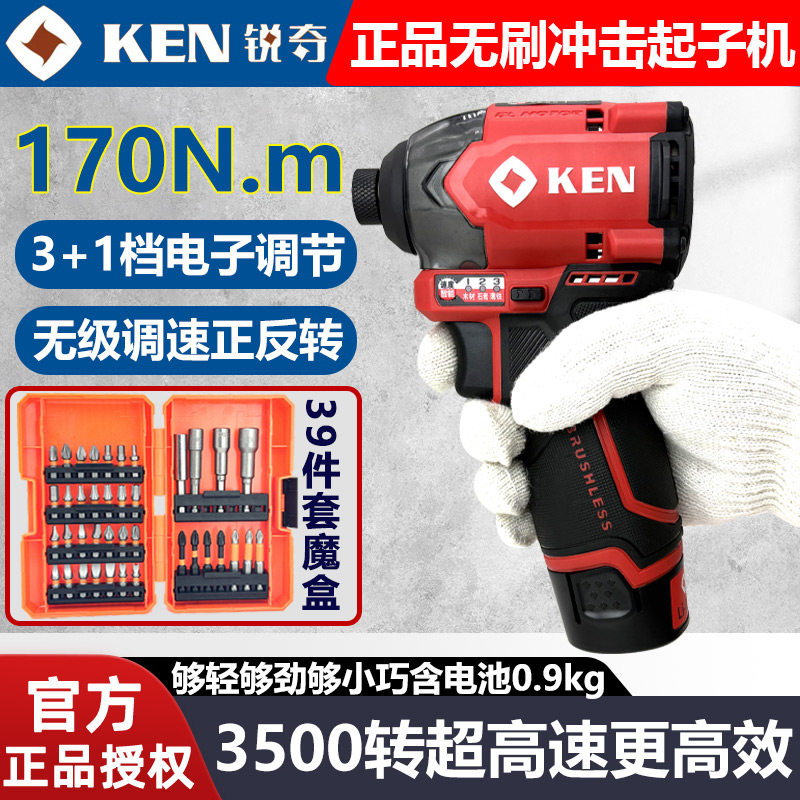 Ruichi ブラシレスドライバー、高トルク電動ドライバー、多機能ハンドヘルド速度調整可能インパクトドリルビットコードレスドリル