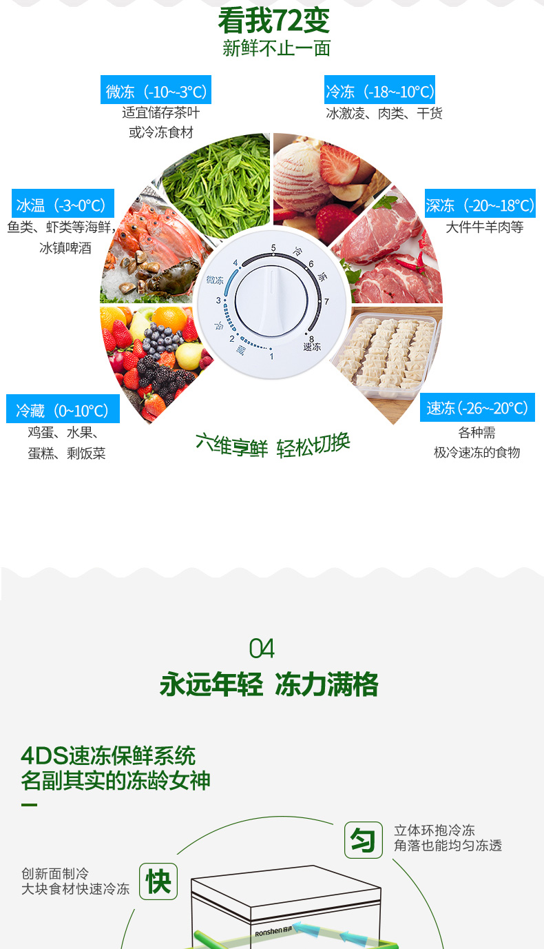 Ronshen Rongsheng BD BC-100MS Tủ đông nhỏ hộ gia đình - Tủ đông tủ đông sanden